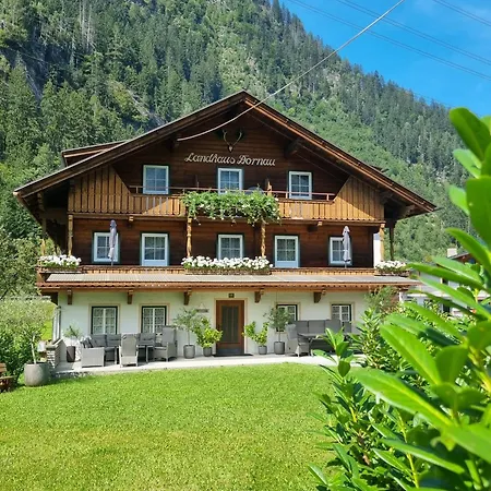 Appartement Dornau